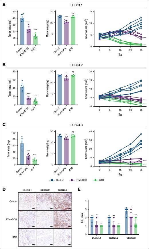 Efficacy evaluation of RTD on DLBCL PDX model. (A) Efficacy evaluation of RTD on DLBCL1 PDX model. (B) Efficacy evaluation of RTD on DLBCL2 PDX model. (C) Efficacy evaluation of RTD on DLBCL3 PDX model. The left panel presents statistical data on tumors, the center panel illustrates statistics regarding the weight of mice, and the right panel displays the changes in tumor volume over time. (D) Representative Ki67 immunohistochemical imaging (scale bars, 50 μm). (E) Ki67 score statistics. The results from panels A-E are shown as mean ± SD (n = 6; ∗P < .05; ∗∗P < .01; ∗∗∗P < .001; ∗∗∗∗P < .0001), compared to control group by Dunnett multiple comparisons test. ns, not significant.