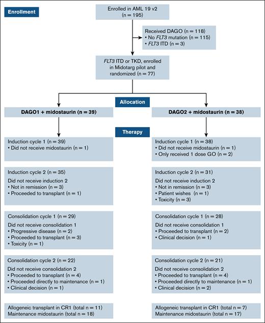 CONSORT diagram showing the number of patients randomized, screened for FLT3 mutations, and treated with and without midostaurin in each arm. TKD, tyrosine kinase domain.