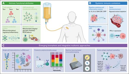 Predictive biomarkers of CAR T-cell therapeutic efficacy and toxicity. A comprehensive schematic illustration highlighting intrinsic functional attributes (A) and systemic immune contexture as predictive biomarkers influencing CAR T-cell therapeutic outcomes (B), and emerging biomarkers and integrative multiomic approaches (C). APC, antigen-presenting cell; CRP, C-reactive protein; Tem, effector memory T cell.