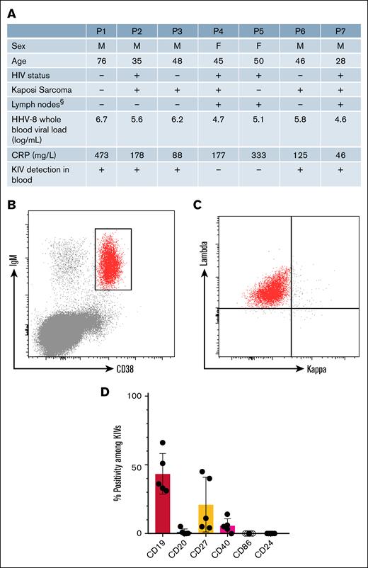 Clinical and biological phenotype of patients with KSHV/HHV-8-associated inflammatory cytokine syndrome. (A) Clinical and biological characteristics of 7 patients with KICS; (B-D) phenotype of circulating KIVs detected by standard flow cytometry. (B) Gating strategy used to identify circulating KIVs by selecting IgM+CD38+ cells among CD3–CD14– double-negative population (P1). (C) K and λ light-chain staining among the IgM+CD38+ population. (D) Percentage of CD19, CD20, CD27, CD40, CD86, and CD24 expression among circulating KIVs (IgM+CD38+λ+) in peripheral blood (n = 5). §, The presence of lymph nodes was assessed by clinical examination and contrast-enhanced computed tomography. “-” means absence of pathological lymphadenopathy, whereas “+” means that pathological lymphadenopathy was present, but the biopsy showed no aspects of MCD. CRP, C-reactive protein; F, female; IgM, immunoglobulin M; M, male; P, patient.