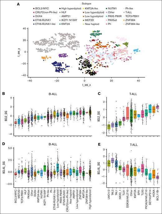 BCL2/BCL-XL gene expression analysis identifies diverse subtypes across ALLs linked to specific genetic aberrations. (A) Gene expression profile’s landscape of the BCL2/BCL-XL in the ALL subtypes illustrated in a 2-dimensional t-distributed stochastic neighbor embedding (tSNE) map. Gene expression profiles of BCL2 and BCL-XL genes in B- and T-ALL were analyzed using a bioinformatical approach and RNA-seq data from leukemic cells of 1976 (1418 B-ALL and 558 T-ALL) and 916 (780 B-ALL and 136 T-ALL) patients diagnosed with ALL. Gene expression profiles were evaluated and analyzed using hierarchical clustering, tSNE analysis, and predictive modeling using cases of known subtypes, as previously described.33 Gene expression signal is displayed in log2. (B) Association of clusters based on the t-SNE map with subtypes shown for comparison with the hierarchical clustering approach. Cohort metrics defining BCL2 activity profiles to genetic abnormalities consists of 23 different B-ALL subtypes clustered based on known chromosomal abnormalities and genetic mutations as follows: BCL2/Myc, Mef2D, Tcf3-Px1, Hlf, Pax5alt, other, Dux4, Kmt2a-like, Nutm1, Ikzf1 N159Y, Ph-like, Ph, ETV6-Tunx1–like, low hypodiploid, Pax5 P80R, ETC6Runx1, Clrf2 (non–Ph-like), near haploid, iAMP21, low hyperdiploidy, Znf384, Kmt2a, Znf384-like, and high hyperdiploidy. (C) Association of the clusters based on the t-SNE map with the subtypes shown for comparison with the hierarchical clustering approach. Cohort metrics defining BCL2 activity profiles to genetic abnormalities consists of 14 different T-ALL subtypes clustered based on known chromosomal abnormalities and genetic mutations, as follows: LMO1/2, TAL1, TAL2, TLX1, TLX3, HOXA, NKX2-1, DDX3-MLLT10, PICALM-MLLT10, KMT2A, and Spi1. (D) BCL-XL activity across different B-ALL subtypes. (E) BCL-XL activity across different T-ALL subtypes.