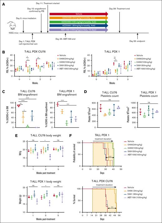 The novel dual BCL2/BCL-XL inhibitor AZD0466 outperformed single BCL2 inhibition in T-ALL PDX models. (A) Schematic design of study. NSG mice were first sublethally irradiated (250 cGy) and inoculated with human PDX T-ALL cells (1 × 106 cells per 200 μL phosphate-buffered saline) 24 hours later via tail vein injection. The engraftment status of the human cells (leukemic burden) in the recipient mice was monitored weekly from the peripheral blood (PB) by flow cytometry. Once engraftment was established, mice (n = 10/group) were randomized to receive treatment with the BCL2/BCL-XL inhibitor AZD0466, the MCL1 inhibitor AZD5991, and the BCL2 inhibitor venetoclax, along with the respective vehicles at the indicated doses and treatment schedules. (B) Tumor burden development in 2 aggressive PDX T-ALL models measured as weekly detection of circulating human CD45+ cells in the PB and expressed as percent of normalized human to sum of human and murine CD45+ cells in mice undergoing treatment with vehicle, AZD0466, AZD5991, and venetoclax; mean ± standard deviation (SD), n = 10 mice per treatment arm. The statistical differences between 2 separate treatments were evaluated by 2-way analysis of variance, ∗P = .013; ∗∗P = .0064. (C) Leukemic burden in the bone marrow after 4 weeks of the treatment (number of mice analyzed, n = 3; mean ± SD indicated in the figure). P values were determined between 2 groups using an unpaired Student t test, ∗P = .013; ∗∗P = .0064; ∗∗∗P = .0009; ∗∗∗∗P < .0001. (D) Platelet counts upon selected treatment regimens. The statistical differences between 2 separate treatments were evaluated by an unpaired Student t test. (E) Body weight monitoring during treatment period. The statistical differences between 2 separate treatments were evaluated by an unpaired Student t test, ∗P = .015. (F) Kaplan-Meier survival curves of mice transplanted with T-ALL and the PDX models PDX1 and CU76 treated with anti-apoptotic inhibitors. Treatment was initiated once the level of circulating leukemia cells in the PB reached 0.5% to 1%; the timeframe of treatment is labeled by the yellow windows on the graphs. The differences in survival between the 2 groups were compared and determined by Gehan-Breslow-Wilcoxon log-rank test (n = 4 mice per group). ∗∗∗P = .001; ∗∗∗∗P < .0001. All calculations were performed using GraphPad prism statistical software version 9. ns, not significant; PBL, peripheral blood lymphocyte.
