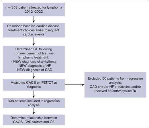 Patient identification and assessment cohorts. CE, cardiac event.