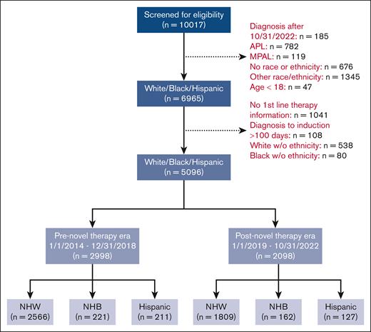 CONSORT diagram of patient allocation. APL, acute promyelocytic leukemia; MPAL, mixed-phenotype acute leukemia; w/o, without.