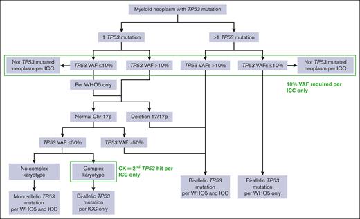 Determination of mutant TP53 allelic status. Algorithm used to determine TP53 allelic status by the ICC and WHO5 classifications.