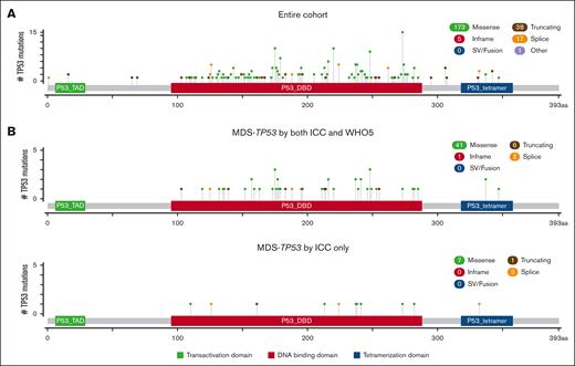 Distribution of TP53 mutations. Lolliplot figures showing the types and distribution of TP53 mutations in the entire cohort (A) and in cases of MDS with <10% blasts classified as MDS-TP53 by both classifications or by the ICC alone (B). SV, structural variant. Figure panels were generated using cBioPortal, as previously described.29,30