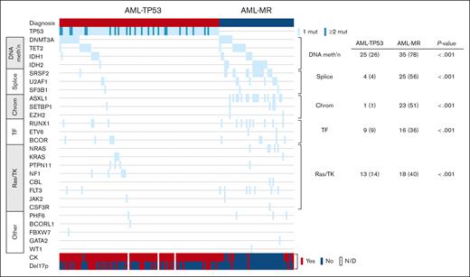 Distribution of mutations in AML-TP53 and AML-MR. Mutations and cytogenetic abnormalities are shown for patients with AML-TP53 and AML-MR with wild-type TP53, with each row representing a gene and each column representing a patient. The number (percent) of patients in each group harboring different types of mutations is shown at the right. chrom, chromatin modifier; mut, mutation; TF, transcription factor; TK, tyrosine kinase. Figure generated using cBioPortal, as previously described.29,30