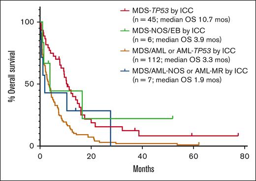 OS in cases with TP53 VAFs <10%. There were 6 cases with <10% blasts and 7 cases with >10% blasts that were not classified as TP53-mutated disease by ICC because the TP53 VAF failed to meet the required level of >10%. However, these cases showed equal or worse OS compared with cases with TP53 VAFs of >10%. EB, excess blasts.