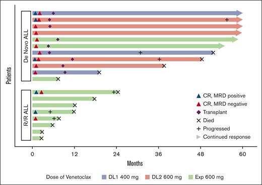 Patient response and outcomes in newly diagnosed and R/R patients. MRD with sensitivity of <0.01%.