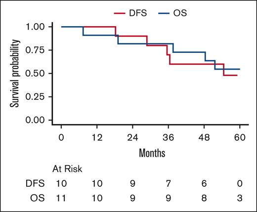 Survival of newly diagnosed patients. DFS and OS in newly diagnosed patients. Median DFS is 54.6 months (95% CI, 35.5 to NA). DFS at 1 and 2 years is 100% and 90% (95% CI, 71-100), respectively. 5-year DFS is NA. Median OS is NA. OS at 1, 2, and 5 years is 91% (95% CI, 74-100), 82% (95% CI, 59-100), and 55% (95% CI, 25-84), respectively.