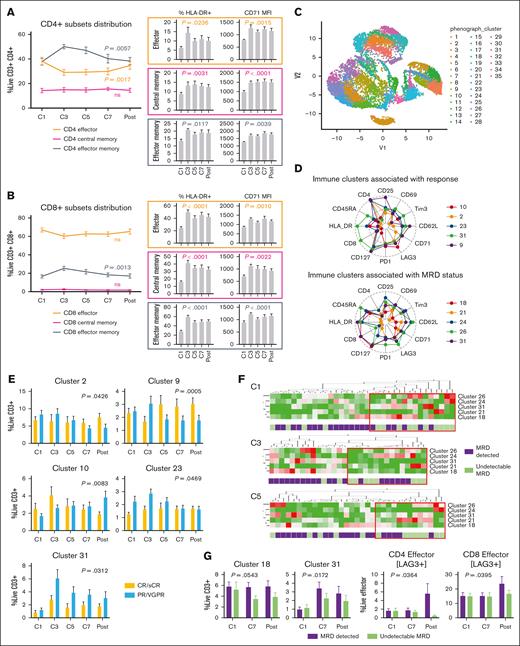 Immune modulatory activity of Dara-KRd on both conventional and unconventional T cells during induction therapy. Peripheral blood mononuclear cells (PBMCs), collected from 36 patients before every other cycle of induction therapy (cycle 1-7) and after induction, were evaluated by flow cytometry. (A-B) CD4 and CD8 T-cell subsets (manually gated from live CD3+ cells) distribution, activation (% HLA-DR expression), and proliferation (CD71 MFI) assessment. (C) Conventional (CD4+, CD8+) and unconventional (CD4−/CD8−) T-cell identification through dimensional reduction analysis (Uniform Manifold Approximation and Projection; R export from live CD3+ cells). (D) Radar plots representing immunological clusters associated with treatment outcomes. (E) Mixed model analysis of immune clusters associated with depth of clinical response after Dara-KRd induction (CR/sCR vs PR/VGPR). (F) Hierarchical clustering analysis of immune clusters associated with MRD positivity. For the immune analysis MRD positivity is defined as detectable MRD at the highest level of sensitivity by either NGS or NGF (MRD positive vs MRD negative). The red box indicates immunotypes enriched for patients with MRD negativity. (G) Mixed model analysis of immune clusters and T-cell fitness markers (LAG3) associated MRD status after induction; P values indicate time × MRD status interaction. Error bars represent standard error of the mean. MFI, mean fluorescence intensity.