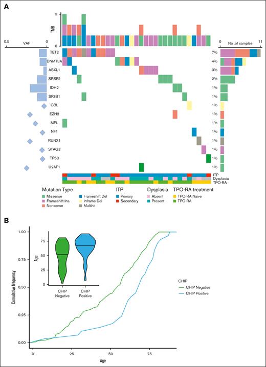 Prevalence and type of somatic mutations in patients with ITP. (A) Oncoplot showing mutated genes, frequency, and allelic burden. (B) Association of clonal hemopoiesis with age in terms of cumulative incidence over age. The detail shows the age distribution in patients bearing CHIP mutations. TMB, total mutation burden.