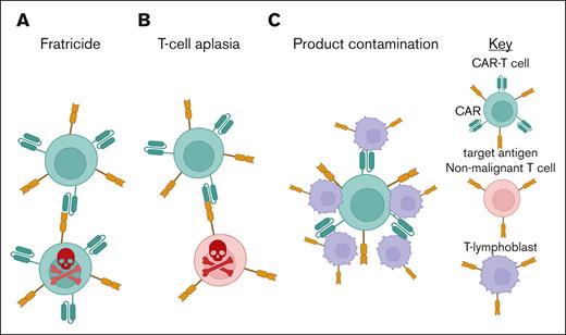 The major challenges of CAR-T therapy in T-cell malignancies. (A) Fratricide, in which CAR-T expressing the target antigen are “self killed” by fellow CAR-T. (B) T-cell aplasia, in which normal T cells that also express the target antigen are killed by the CAR-T in “on-target, off-tumor” toxicity. (C) Product contamination, the risk that T lymphoblasts contaminate the final CAR-T product.