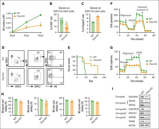 Tifab deletion impairs cellular functions of LSPCs. (A) Cell counting of WT and Tifab KO LSPCs. Ten thousand CD11b+cKit+ leukemia cells were plated and counted every other day for 4 days. (B) Percentage of Ki67+ LSPCs in mice that received transplant with WT or Tifab KO KMT2A::MLLT3 leukemia cells. (C) Percentage of caspase-3–positive LSPCs in WT and Tifab KO LSPCs. (D) Representative flow cytometry profiles of mice engrafted with WT or Tifab KO LSPCs, assessed 8 weeks after transplantation. (E) Survival curve of sublethally irradiated recipient mice receiving 20 000 sorted LSPCs from WT or Tifab KO KMT2A::MLLT3 leukemic mice (WT, n = 7; Tifab KO, n = 8). (F-G) OCR (F) and ECAR (G) in WT and Tifab KO LSPCs (n = 5). (H) Fractional enrichment of 13C6-labeled intermediate metabolites in Con and Tifab KO LSPCs, measured by GC/MS (n = 3). (I) Western blot analysis of key components of ETC complexes I, II, III, IV, and V, along with TIFAB, in WT and Tifab KO LSPCs (n = 3). ACTIN was used as a loading control. ∗P < .05; ∗∗P < .01. Statistical test used in panels A-C and H was Mann-Whitney U test; for panel E, log-rank test.