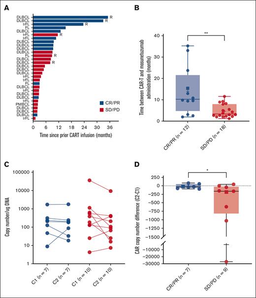 Time from CAR-T to mosunetuzumab administration and changes in CAR transgene levels. Blue bars and blue circles indicate CR/PR. Red bars and red circles indicate SD/PD. Circles indicate a patient with large B-cell lymphoma. Square boxes indicate a patient with follicular lymphoma. (A) Time from CAR-T to the start of mosunetuzumab. R indicates patients who responded to CAR-T and subsequently relapsed at least 6 months after CAR-T. The remainder of patients are CAR-T refractory, that is, they did not respond to CAR-T. (B) Comparison of responding and nonresponding patients’ time from CAR-T to mosunetuzumab. ∗∗P = .006. (C) CAR transgene copy number per μg genomic DNA for responding and nonresponding patients before and after mosunetuzumab. (D) Difference in CAR transgene copy number after 1 cycle of mosunetuzumab between responding and nonresponding patients. ∗P = .04. C1, baseline prior to start of mosunetuzumab; C2, after one cycle of mosunetuzumab; CAR, chimeric antigen receptor-modified; CAR-T, chimeric antigen receptor–modified T-cell therapy; CR, complete response; DLBCL, diffuse large B-cell lymphoma; FL, follicular lymphoma; PMBCL, primary mediastinal large B-cell lymphoma; PD, progressive disease; PR, partial response; SD, stable disease; trFL, large cell transformation of follicular lymphoma.