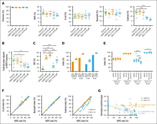 Editing the HBG1/2 promoters is compatible with multilineage engraftment and robust HbF induction, whereas editing the BCL11A erythroid enhancer affects erythroid production in a xenotransplantation model. Mobilized healthy donor CD34+ cells were electroporated with 1 to 8 μM of ribonucleoprotein complexed at a 2:1 gRNA-to-protein ratio using a Maxcyte GT electroporator, program HBM34-4. Cells were cryopreserved 1 day after electroporation. Cells with comparable levels of editing were later thawed and infused intravenously into NBSGW mice at 1 × 106 cells per mouse. (A) At 18 weeks after infusion, animals were euthanized to determine the levels of human engraftment in the BM by flow cytometry. Chimerism was calculated as hCD45+/hCD45++mCD45+; human HSPC frequency was calculated as hCD34+/hCD45+; human B-cell frequency was calculated as hCD19+/hCD45+; human neutrophil frequency was calculated as hCD15+/hCD45+; and human erythroid frequency was calculated as hCD235a+/total viable cells. Human T-cell engraftment was at the background level and therefore not reported. (B) Erythroid output (hCD235a+ per total viable cells) was adjusted to HSPC frequency (hCD34+ per total viable cells) in corresponding animals to evaluate the ability of HSPCs to generate erythroid cells in vivo. (C) HbF expression was determined by reverse phase ultrahigh performance liquid chromatography in human erythroid cells isolated by flow-activated cell sorting from mouse BM. (D) Editing levels of infused CD34+ cells (before) and unfractionated BM were determined by next-generation sequencing. (E) Human HSPCs (hLin−hCD34+hCD45+), B cells (hCD19+hCD45+), neutrophils (hCD15+hCD45+), and erythroid cells (hCD235a+) were flow sorted and analyzed for editing levels by next-generation sequencing. (F) Editing data of flow-sorted human cells from 3 independent in vivo studies were compiled, and correlation analyses were performed for B cells, neutrophils, or erythroid cells against HSPCs. The black angled line represents the identity line (y = x). (G) Editing data of flow-sorted HSPCs from BM, and erythroid output from 3 independent in vivo studies were compiled, and correlation analysis was performed. To adjust for the differential erythroid output observed in each study, erythroid output was normalized to the output observed in their respective control samples. Each circle represents 1 sample from 1 animal. n = 7 to 8 per treatment group for panels A-E; n = 33 to 39 for panel F; and n = 41 to 52 for panel G including controls. For panels E-G, samples with reads of <5000 mapped to the target were excluded. For panel G, samples with human chimerism levels of <50% were excluded. For panels A-C, ordinary 1-way ANOVA with Tukey multiple comparisons test was performed. For panel E, mixed-effects analysis with Tukey multiple comparisons test was performed to compare indel levels of samples sorted from the same animals. For panel G, simple linear regression analysis was performed, and the slope was tested for nonzero significance. ∗P < .05; ∗∗P < .001; ∗∗∗∗P < .0001.