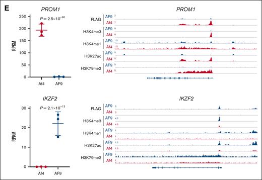 Characterization of MLL fusion type–specific chromatin binding sites. (A) Heat map showing the indicated chromatin immunoprecipitation sequencing (ChIP-seq) signals at fusion-specific and common binding sites in model ALL cells. Window shows ±5 kb from the peak center. (B) Genomic locations of fusion-specific and common binding peaks. (C) Average read density metaplots showing the indicated signals in each leukemia type at fusion-specific binding sites over a ±5 kb window from the peak center. (D) Gene set enrichment analysis (GSEA) demonstrating the association of fusion-specific binding targets with upregulated gene expression in the corresponding ALL type. (E) RNA sequence analysis showing differential expression of PROM1 and IKZF2 between paired ALLs (left). Each individual point represents one sample. P values were calculated by DESeq2. ChIP-seq tracks showing MLL-Af4 and MLL-AF9 binding and the associated histone modifications at PROM1 and IKZF2 loci (right). NES, normalized enrichment score; RPKM, reads per kilobase per million mapped reads.