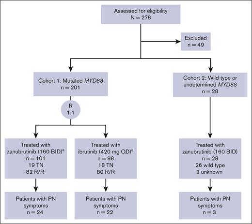 Disposition of patients with PN symptoms in ASPEN.aAn additional patient with R/R disease in each cohort 1 group was randomized but did not receive treatment due to acute kidney injury and central nervous system lymphoma. BID, twice daily; QD, once daily; R, randomized; R/R, relapsed/refractory; TN, treatment naive.