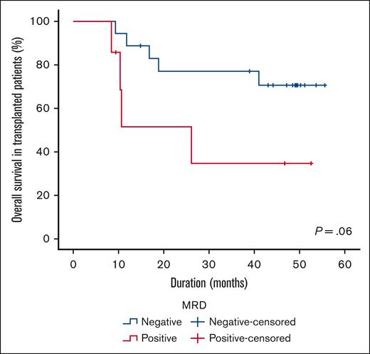 OS and MRD status in patients who underwent transplantation.