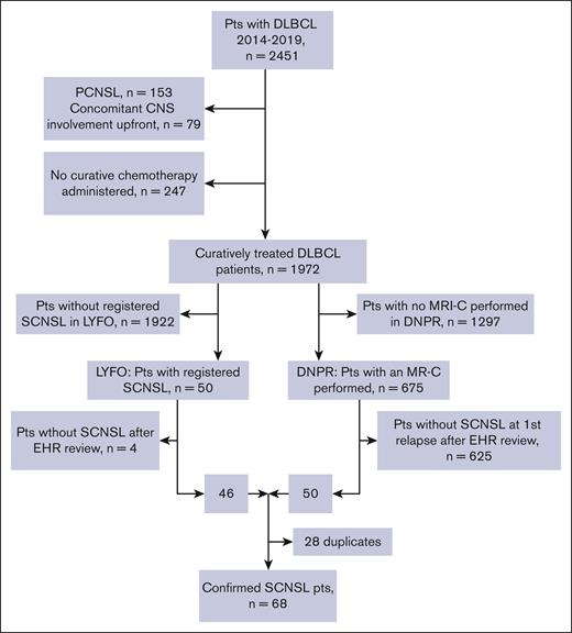 Consort diagram of the study cohort. EHR, electronic health record; MR-C, magnetic resonance imaging of the cerebrum; Pts, patients.