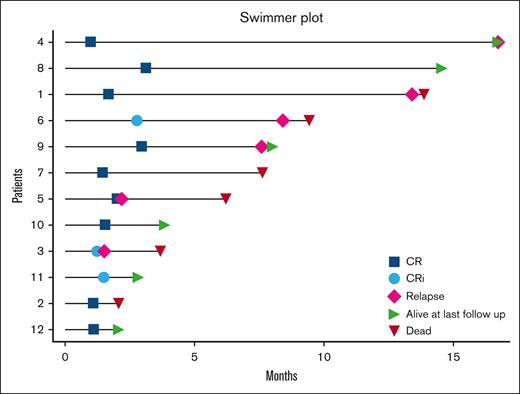 Response to treatment and outcome. Swimmer plot depicts response, duration of response, and survival. CRi, complete hematologic response with incomplete marrow recovery.