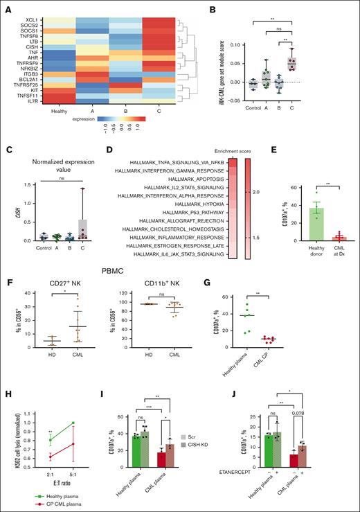 Human NK cells display similar sensitivity to the CML microenvironment. (A) Heat map showing the expression of iNK-CML genes in NK cells across healthy donors and 3 CML prognostic groups. Figure created with http://scdbm.ddnetbio.com. (B) iNK-CML gene set module score is significantly enriched in group C patients' NK cells compared with healthy controls. Kruskal-Wallis test with Dunn multiple comparisons test. (C) CISH expression in NK cells across different prognostic groups. Kruskal-Wallis test with Dunn multiple comparisons test. (D) Top pathways enriched in group C NK cells compared with healthy controls identified by gene set enrichment analysis. (E) Target-specific degranulation in NK cells sorted from healthy or PBMCs from newly diagnosed patients with CML. Mann Whitney U test, mean ± SD. (F) The altered expression of CD27 (left) and CD11b (right) in peripheral blood NK cells from patients with CML. Mann Whitney U test, mean ± SD. (G) Target-specific NK cell degranulation in healthy NK cells preexposed to plasma samples of age-matched healthy donors or untreated chronic phase (CP) patients with CML. Median; Kruskal-Wallis test with Dunn multiple comparisons test. (H) K562 cell killing by healthy NK cells preconditioned with healthy plasma (green) or CML plasma (dark red). Mean ± SD; multiple unpaired t test. (I) Target-specific degranulation in CISHKD (shaded) or scrambled-treated NK cells preexposed to healthy or CML CP plasma. Mean ± SD; 2-way ANOVA with Fisher's least significant difference test. (J) Degranulation in etanercept-treated (shaded) or untreated NK cells preexposed to healthy or CML CP plasma. Mean ± SD; 2-way ANOVA with Fisher's least significant difference test. For all experiments, ∗P ≤ .05; ∗∗P ≤ .01; ∗∗∗P ≤ .001; ∗∗∗∗P ≤ .0001; n = 3 to 9 individuals per group. HD, healthy donor; ns, nonsignificant; PBMCs, peripheral blood mononuclear cells.