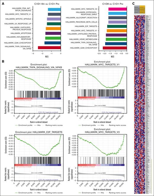 Gene set enrichment analyses (GSEA) from patients with AML after voruciclib treatment. RNA-seq was performed on PBMCs from 6 patients with AML treated with 100 to 200 mg voruciclib. Normalized gene counts were compiled from bulk RNA-seq analysis and processed using GSEA to identify NES for the top 10 Hallmark pathways by P value (A). (B) GSEA enrichment plots of significantly downregulated oncogenic pathways. (C) Heat map depicting the ranked list of genes with core enrichment for the Hallmark MYC targets V1 pathway. The range of expression values are visualized as red (high) to blue (low). Green bar indicates enriched genes. All data sets shown are represented as on-treatment vs cycle 1 day 1 (C1D1) pretreatment and statistical significance is represented as P < .05. NES, normalized enrichment scores.