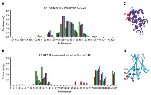 Contacts between domains in the final EC complex. (A) TF residues contacting (3 Å cutoff) with FX-GLA. Green, red, and blue bars show the average for the 25-nanosecond simulation, for the 200-nanosecond simulation, and for the last 150-nanosecond simulation, respectively. (B) FX-GLA residues contacting (3 Å) with TF. Green, red, and blue bars show the average for the 25-nanosecond simulation, for the 200-nanosecond simulation, and for the last 150-nanosecond simulation, respectively. (C-D) Residues with an average contact number of ≥0.5 are shown as spheres for FX-GLA (C) and TF (D).