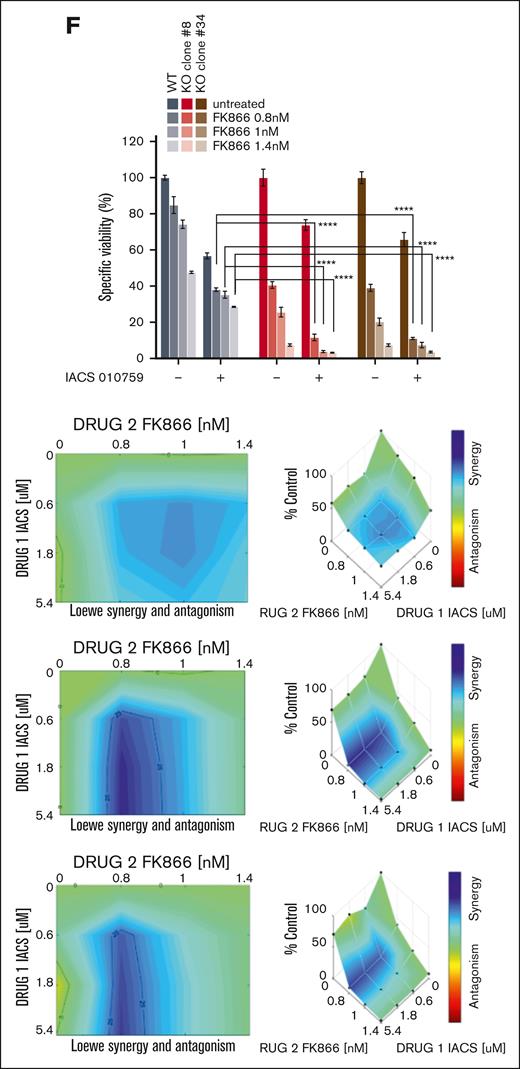 NAPRT activity is crucial for redox homeostasis and oxidative metabolism of MM cells thus influencing the anti-MM activity of NAD+-lowering agents. (A) KMS11 cells expressing inducible Cas9 were used to generate different clones of NAPRT-KO cells. WB analysis of wild type (WT) and indicated 4 different NAPRT-KO clones of KMS11 cells confirmed specific KO. Whole-cell lysates were collected and probed with NAPRT antibody. GAPDH was used as a loading control. (B) Antioxidant enzymes (GR and GPX) activities and MDA levels were assessed in WT and in 2 different KMS11 NAPRT-KO clones in presence of 1 μM NA, with or without increasing concentrations of FK866 (1.5-2.5 nM) for 24 hours. (C) Representative WB images of KO cells (clone#8 and #34) expressing NAPRT addbacks or KO cells. (D) indicated antioxidant enzymes activities and MDA levels were assessed in NAPRT added-back and in KO cells, in presence of 1 μM NA, with or without increasing concentrations of FK866 (1.5-2.5 nM) for 24 hours. (E) Mitochondrial complexes (I, II, III, and IV) activities normalized to specific control (expressed as percentage, %) measured in KMS11 WT and NAPRT-KO cells (clone#8 and clone#34), in the presence of 1 μM NA with or without increasing concentrations of FK866 (1.5-2.5 nM) for 48 hours. Data are presented as mean ± standard deviation (n = 6). (F) Specific viability of KMS11 WT and NAPRT-KO cells (clone#8 and clone#34) in the presence of 1 μM NA, was assessed. Increasing doses of FK866 (0.8-1-1.4 nM) were administered, and after 24 hours, the oxidative phosphorylation (OXPHOS) inhibitor IACS010759 (0.6 μM) was either added for an additional 48 hours. Cell viability was finally measured using an MTS-based assay. In the right panel, synergism of the same experiment was analyzed by Combenefit software, using the Lowe method. A representative experiment of 2 was shown as mean ± standard deviation (n = 3). ∗∗P < .01; ∗∗∗P ≤ .001; ∗∗∗∗P ≤ .0001; unpaired t test. cl., clone.