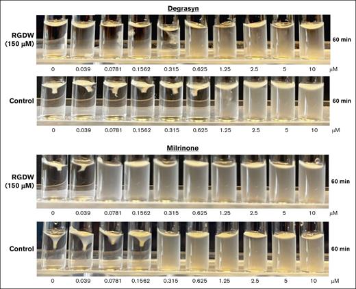 Effect of inhibition of fibrinogen binding with RGDW on potency of hit compounds. Washed platelets from healthy volunteers (3 × 108/mL) were treated or not, with RGDW (150 μM) for 20 minutes at room temperature and then transferred to an aggregometer cuvette containing the indicated dose of degrasyn (top) or milrinone (bottom), and a mixture of human α-thrombin (0.2 U/mL final concentration) and CaCl2 (1 mM final concentration) to initiate CR. Images were taken 60 minutes after of initiation of CR.