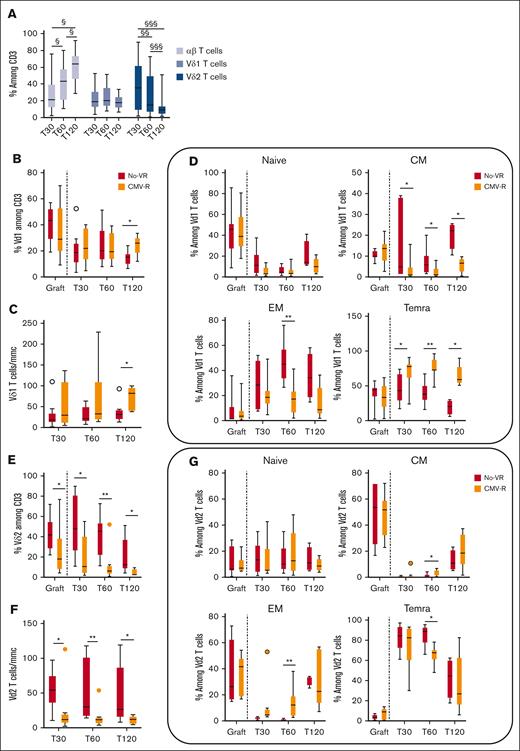 Longitudinal analysis of circulating αβ and γδ (Vδ1 and Vδ2) T cells before (graft) and after 30, 60, and 120 days in haplo-HSCT recipients with No-VR and CMV-R. (A) The frequency of αβ (white boxes), Vδ1 (light gray boxes), and Vδ2 (blue boxes) among CD3+ T cells in 20 haplo-HSCT recipients is reported at all time points. Differences among the frequency of each subset at different time points were evaluated by Wilcoxon paired test. §<0.05; §§P < .01; §§§P < .001. (B-D) Frequency (B), absolute number (C), and differentiation profile (D) of Vδ1 T cells from patients with No-VR (white boxes, n = 11) and from patients with CMV-R (orange boxes, n = 9) are reported. Differences between No-VR and CMV-R at each time point were evaluated by Mann-Whitney U test. ∗P < .05; ∗∗P < .01. (E-G) Frequency (E), absolute number (F), and differentiation profile (G) of Vδ2 T-cells from patients with No-VR (white boxes, n = 11) and from CMV-R (orange boxes, n = 9) are reported. Differences between No-VR and CMV-R at each time point were evaluated by Mann-Whitney U test. ∗P < .05; ∗∗P < .01. Naïve T-cells (N) were defined as CD45RA+CD27+; CM were defined as CD45RA–CD27+; EM were defined as CD45RA-CD27-; and TEMRA were defined as CD45RA+CD27–.