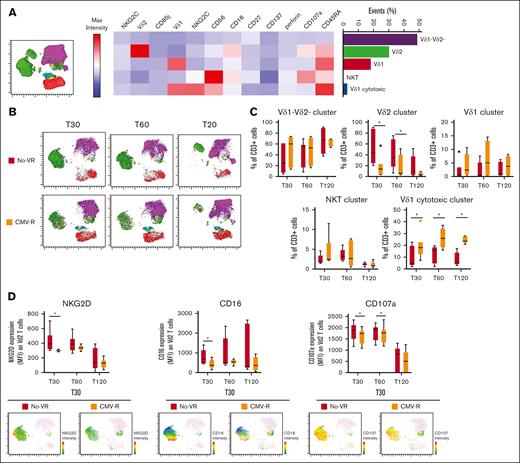 Longitudinal unsupervised analysis of γδ T cells after 30, 60, and 120 days in haplo-HSCT recipients with no-VR and CMV-R. (A) Uniform Manifold Approximation and Projection (UMAP) (left) representation and heat map (right) of γδ T-cell landscape, representing clusters identified by FlowSOM. Each color is assigned according to the cluster identification palette. The percentage and name of each cluster are shown next to the heat map. Heat map colors represent the median expression of specified markers for each cluster, with blue representing low expression and red representing high expression. (B) The dynamic of Vδ2, Vδ1−Vδ2−, and Vδ1 T-cell populations in patients with no-VR (n = 11) and in patients with CMV-R (n = 9) are reported at all time points. (C) The frequency of Vδ2, Vδ1−Vδ2−, and Vδ1 clusters were compared in patients with No-VR (white boxes, n = 11) and in patients with CMV-R (orange boxes, n = 9) at all time points. Differences between No-VR and CMV-R at each time point were evaluated by Mann-Whitney U test. ∗P < .05. (D) The median expression of NKG2D, CD16, and CD107 on Vδ2 T cells are shown, and differences between no-VR (white boxes, n = 11) and CMV-R (orange boxes, n = 9) at each time point were evaluated by Mann-Whitney U test. ∗:P < .05. UMAP representation of NKG2D, CD16, and CD107 expression on Vδ2 T-cell cluster is shown at T30. MFI, median fluorescence intensity.