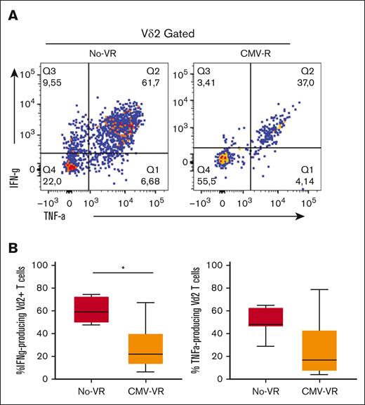 Cytokine production by PhAg-stimulated Vδ2 T-cells in haplo-HSCT recipients with no-VR and CMV-R. (A) Representative dot plot of IFN-γ– and TNF-α–producing Vδ2 T cells after PhAg stimulation from patients with no-VR and patients with CMV-R. (B) The frequency of IFN-γ– and TNF-α–producing Vδ2 T cells after PhAg stimulation was analyzed in patients with No-VR (white boxes, n = 11) and in patients with CMV-R (orange, n = 9). Differences between patients with No-VR and patients with CMV-R were evaluated by Mann-Whitney U test. ∗P < .05.