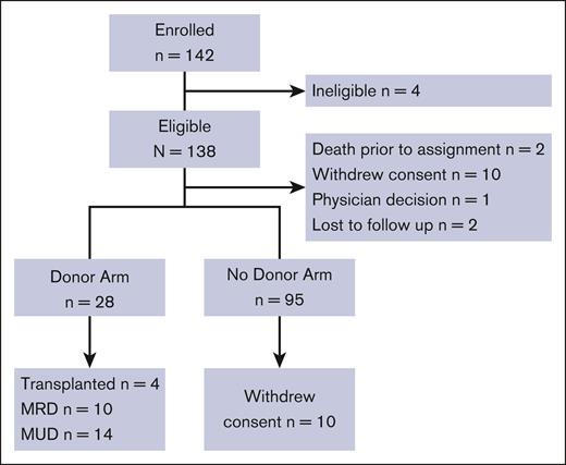 CONSORT diagram. MRD, matched related donor; MUD, matched unrelated donor.