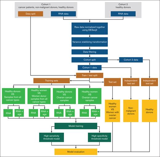 Model training pipeline for all experiments.