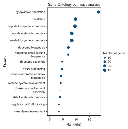 Platelet RNA GO analysis of 200 most impactful transcripts (based on the highest importance score of these 200 features) for the most sensitive early-stage cancer detection model. rRNA, ribosomal RNA.