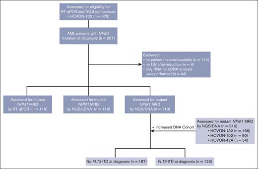 Flow diagram of selection of cases of patients with AML included in mutant NPM1 cohort. HOVON, Dutch–Belgian Cooperative Trial Group for Hematology–Oncology.