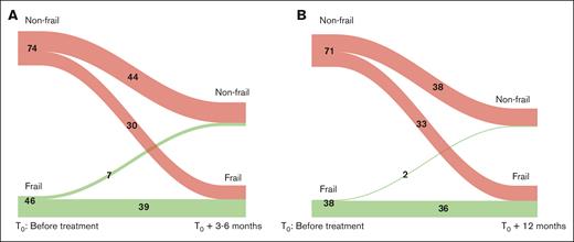 Changes in frailty status over time. (A-B) Changes in frailty status (nonfrail vs frail) from baseline (T0) to 3 to 6 months (T0 + 3-6 months) (A); and 12 months (T0 + 12 months) after the start of treatment (B).