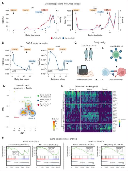 Nivolumab to salvage T-cell fitness in CAR-T refractory MM. (A) The serologic response to ide-cel and nivolumab-based salvage therapy in MM1 (left panel) and MM2 (right panel). (B) CAR-T vector expansion over time indicating the time of first and second ide-cel infusion. (C) Study design for correlative T-cell assessment. (D) A tSNE plot of single CD3+ non–CAR-Ts, showing 3 distinct clusters relating to treatment with nivolumab-based salvage therapy. (E) The heat map in panel E visualizes cluster characterization by marker gene expression for clusters 1, 2, and 3. (F) Gene set enrichment plots show expressed gene sets derived from the BIOCARTA T helper 1 cells/T helper 2 cells and BIOCARTA natural killer T cell pathway in MM1 (cluster 3 vs 1) and MM2 (cluster 3 vs 2). DRd, daratumumab-lenalidomide-dexamethasone; FDR, false discovery rate; FLC, free light chain; KCd, carfilzomib-cyclophosphamide(-dexamethasone); NES, normalized enrichment score; Nivo, nivolumab; Pd, pomalidomide-dexamethasone; pts, patients; Rd, lenalidomide-dexamethasone; sFLC, serum-free light chain; tSNE, t-stochastic network embedding. Figure panel C created with BioRender (https://BioRender.com/i46u828#).