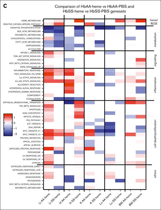 Comparative analyses of the enriched gene sets and upstream pathways modulated by heme in HbAA or HbSS mice. (A) GSEA Hallmark pathways the 5 organs of HbSS compared with HbAA-heme mice. The heat map is built to represent the z score for each pathway, which is calculated as the NES multiplied by the −log10 q value, which is the P value adjusted for FDR. The Hallmarks pathways are grouped manually depending on the overall biological processes to which they can be related. (B) Heat maps of the 10 highest upstream regulators as determined by an Ingenuity Pathway Analyses comparison on HbAA vs AA-heme organs. Of note, the LPS pathway corresponds to TLR4 signaling, a common receptor for both LPS and heme. The heat map was generated with the scores provided by ingenuity pathways. (C) GSEA Hallmark pathways of the 5 organs of HbAA-heme vs HbAA-PBS compared with HbSS-heme vs HbSS-PBS mice. The heat map was generated similar to panel A. EGF, epidermal growth factor; H, heart; HGF, hepatocyte growth factor; K, kidney; Li, liver; Lu, lung; OSM, oncostatin M.