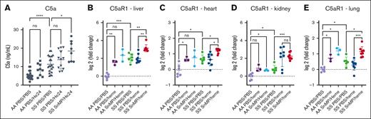 Complement C5a/C5aR1 axis is a key inflammatory pathway, unleashed upon HO-1 inhibition and treatment with heme. (A) Plasma (C5a; measured by ELISA). (B-E) C5aR1 gene expression measured by QuantiGene in liver (B), heart (C), kidney (D), and lung (E). C5a is powerful anaphylatoxin generated after complement cascade activation, which signals through its main receptor C5aR1 on a variety of cells, mainly neutrophils, inflammatory monocytes, macrophages, and endothelial cells. ∗P < .05; ∗∗P < .01; ∗∗∗P < .001. ns, not significant.
