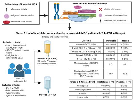 Imetelstat for lower-risk MDS. ESA, erythropoietin-stimulating agent; IPSS, International Prognostic Scoring System; neg, negative; pos, positive; R/R, relapsed/refractory; RBC-TD, red blood cell transfusion-dependent; RS, ring sideroblast.