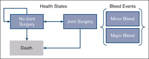 Markov structure. The Markov structure includes 3 health states: “no joint surgery,” “joint surgery,” and “death.” Within these health states, patients incur a risk of major and minor bleed events each cycle. The risk of joint surgery is dependent on the number of joint bleeds incurred. Risk of death is a function of age and sex.