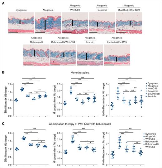 Wnt-C59 in monotherapy or in combination with ruxolitinib, ibrutinib, or belumosudil ameliorates skin fibrosis in sclGVHD. (A) Representative trichrome staining of the skin of sclGVHD mice at 100-fold magnification (scale bars = 250 μm). The skin thickness is indicated by a vertical line. Quantification of dermal thickening, hydroxyproline content, and number of myofibroblasts in the dermis after monotherapy (B), or Wnt-C59 in combination with belumosudil (C). Data are represented as mean ± standard deviation of n = 7 to 8 independent biological samples per group. P values were determined by 1-way analysis of variance with the Newman-Keuls test. ∗.05 > P > .01; ∗∗.01 > P > .001; ∗∗∗P < .001. HP, hydroxyproline; ns, not significant.
