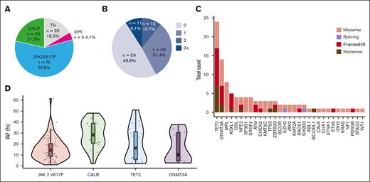 Molecular characteristics of 121 patients at diagnosis. (A) Distribution of driver mutations in the whole cohort. (B) Distribution of the number of additional clonal mutation per patient. (C) Number of additional mutations per gene in the whole cohort. The y-axis represents the total count of mutations detected in all patients, and the x-axis represents the 32 mutated genes ranked in order of frequency. (D) Distribution of variant allele frequency (VAF). Violin plots representing the distribution of allele burden for the most frequent mutation in JAK2V617F, CALR, TET2, and DNMT3A genes.