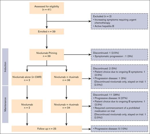 CONSORT diagram for 1st FLOR trial.