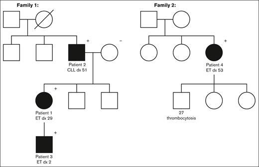 Three- or 4-generation pedigrees collected for family 1 and family 2. The first illustrates the segregation of p.R564Q with ET and CLL in family 1. The proband in family 2 was identified to have the p.R564L variant. Her son is reported to have thrombocytosis (∼500 × 103/μL) but has not had genetic testing. +, positive for JAK2 variant; –, negative for JAK2 variant; dx, diagnosed.