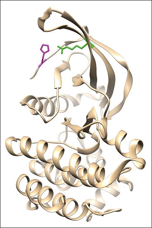 Previously published crystal structure of the JAK2 pseudokinase domain,34highlighting the proposed interaction between p.R564 and p.H538. Adapted from Bandaranayake et al.34