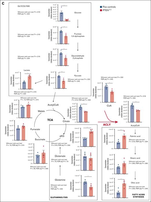 Metabolic analysis of preleukemic PTEN-mutant thymocytes. (A) Principal component analysis of 4 Pten-mutant and 5 Ptenflox2 thymi issued from preleukemic 8-week-old mice subjected to unsupervised metabolic analysis. (B-D) Heat maps of the 50 most deregulated metabolites (B), glycolytic intermediates, Krebs cycle intermediates, glutamine, glutamate, citrate, CoA, acetyl-CoA, and fatty acids (C), and pathway analysis in 4 preleukemic PTENΔ/Δ thymocytes or 5 flox control counterparts (D). (E) Phosphorylated ser455-ACLY in the thymi of preleukemic PTENΔ/Δ mutant or control animals in 3 independent experiments, with at least 2 per group. Adj, adjusted; aKG, α-ketoglutarate; CoA, coenzyme A; F1,6DP, fructose 1,6 diphosphate; FAS, fatty acid synthesis; FDR, false discovery rate; TCA, tricarboxylic acid.27