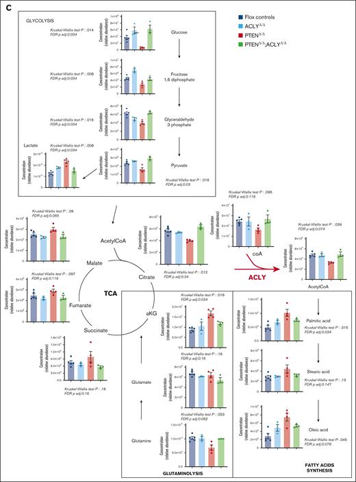 Metabolic analysis of thymi from PTENΔ/Δ, ACLYΔ/Δ, PTENΔ/Δ;ACLYΔ/Δ or PTENflox2;ACLYflox2 mice. (A) Principal component analysis of 4 PTENΔ/Δ mutant, 3 ACLYΔ/Δ mutant, 3 PTENΔ/Δ;ACLYΔ/Δ, and 5 Ptenflox2;Aclyflox2 thymi from preleukemic 8-week-old mice undergoing unsupervised metabolic analysis. (B-D) Heat maps of the 50 most deregulated metabolites (B), analysis of glycolytic intermediates, Krebs cycle intermediates, glutamine, glutamate, citrate, CoA, acetyl-CoA and fatty acids (C), and pathway analysis in 4 PTENΔ/Δ mutant, 3 ACLYΔ/Δ mutant, 3 PTENΔ/Δ;ACLYΔ/Δ, and Ptenflox2;Aclyflox2 thymi (D). (E-F) Extracellular acidification rate (ECAR) (E) and oxygen consumption rate (OCR) (F) of sorted DP thymocytes in 2 independent experiments, with at least 2 per group. Adj, adjusted; aKG, α-ketoglutarate; F1,6DP, fructose 1,6 diphosphate; FAS, fatty acid synthesis; FCCP, carbonyl cyanide 4-(trifluoromethoxy)phenylhydrazone; FDR, false discovery rate; TCA, tricarboxylic acid cycle; WT, wild-type.
